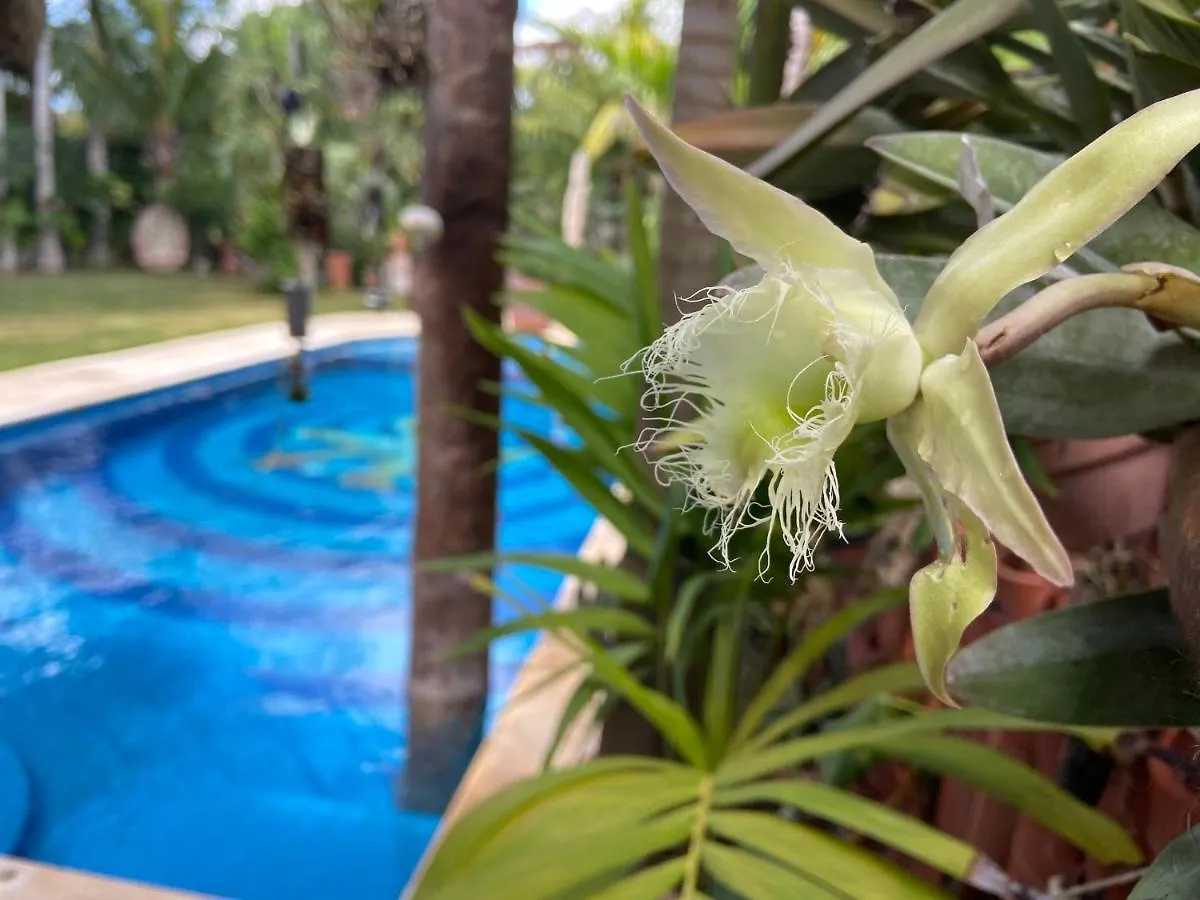 Vila Casa Jaguar Puerto Aventuras